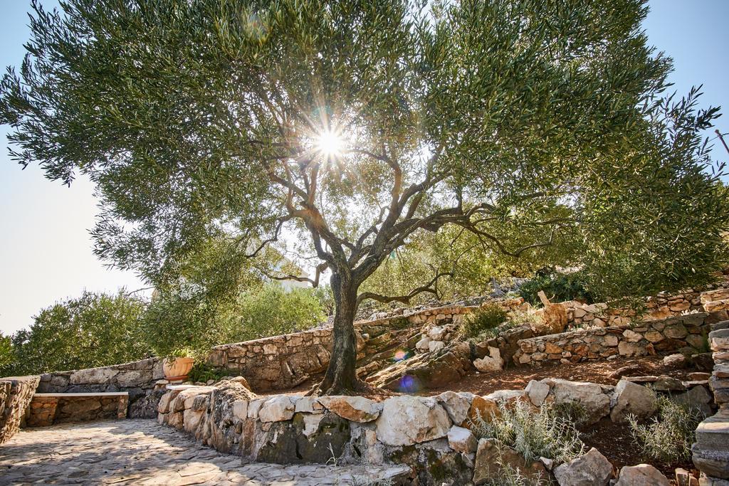 Kuca Gaspar Villa Dubrava  Esterno foto